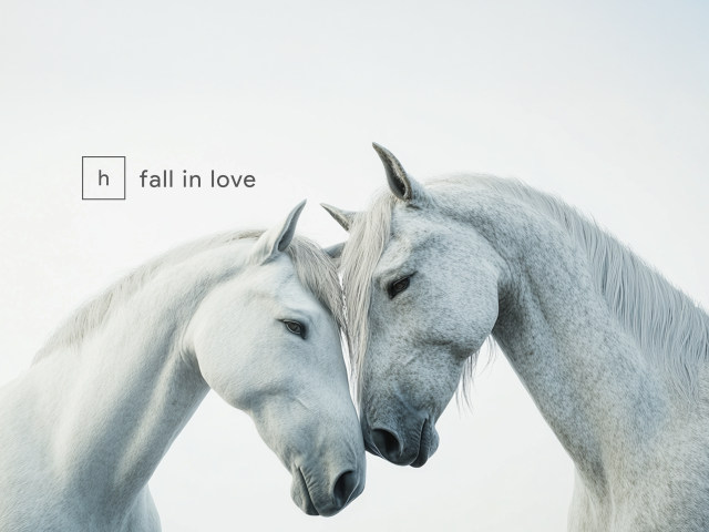 Plasmapool Records Signs Horse & Pony, RJ Buchanan’s New Electronic Music Project